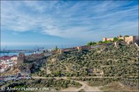 La Alcazaba