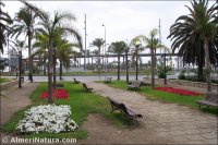 Parque