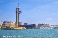 Torre del puerto