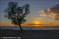 Playa Nueva Almería