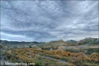 Rambla de Tabernas