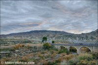 Rambla de Tabernas