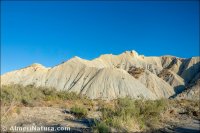 Rambla de Tabernas