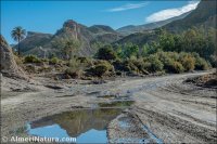 Rambla de Tabernas