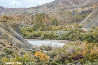 Rambla de Tabernas