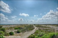 Punta Entinas