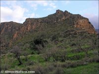 Cerro de Las Minas