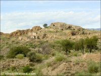 Ruinas de Teresa