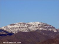 Cumbres nevadas