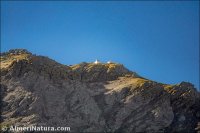 Pico del Buitre