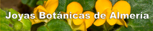 Joyas botánicas de Almería